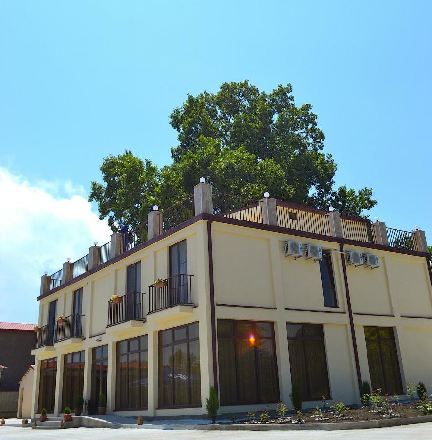Kisiskhevi Kisi Garden酒店 外观 照片